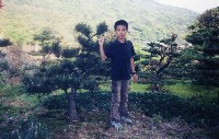 照片黏貼處