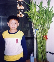 照片黏貼處